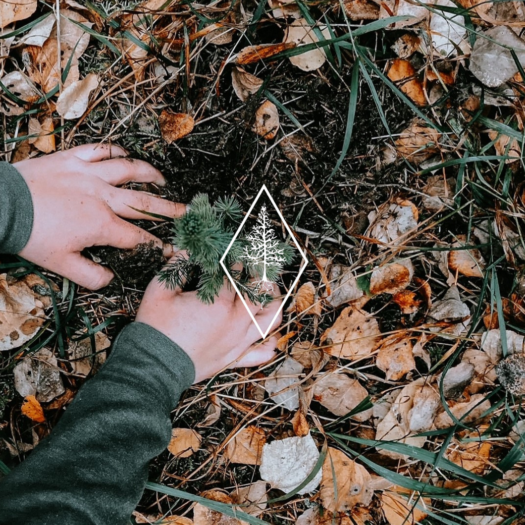 Vast Wilderness Co. Apparel Gift Card